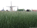 zicht op Ootmarsum